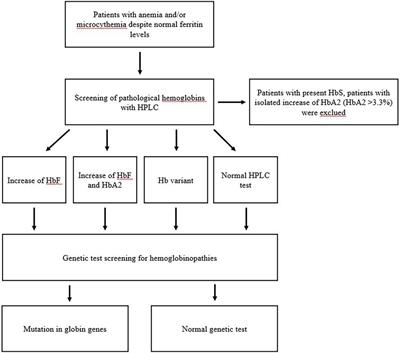 The blood count as a compass to navigate in the ever-changing landscape of the carrier state of hemoglobinopathies: a single-center Italian experience
